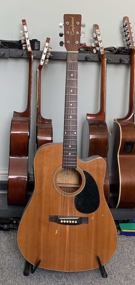 Acoustic Guitar